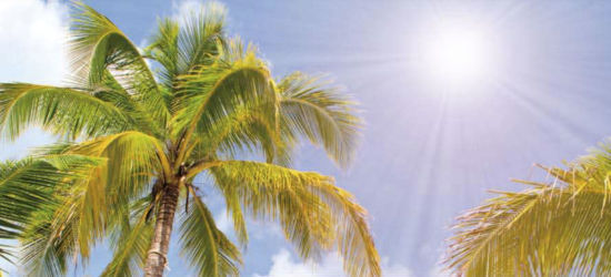 Unser Sonnenschutzangebot